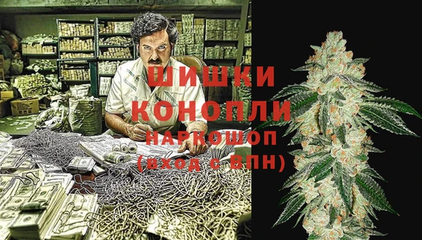 прущие грибы Бугульма