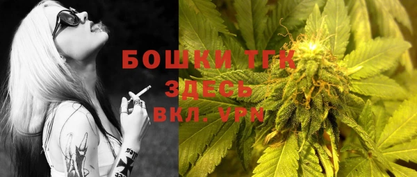 прущие грибы Бугульма