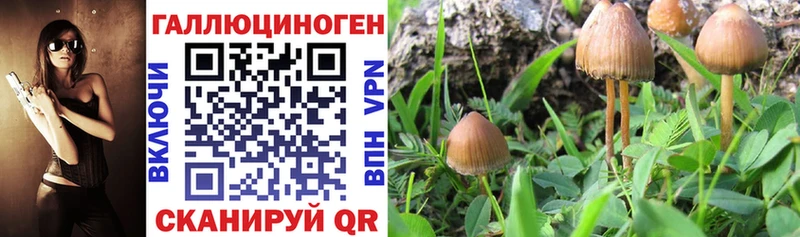 Галлюциногенные грибы ЛСД Северодвинск